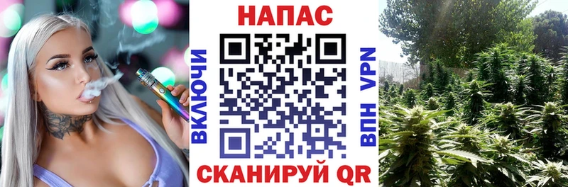 Купить Псилоцибиновые грибы Мефедрон СК Гашиш Экстази Конопля Кинешма