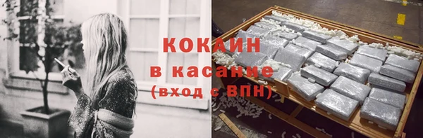 индика Волосово