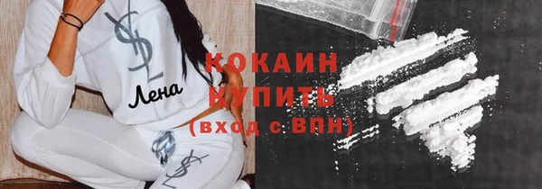 индика Волосово