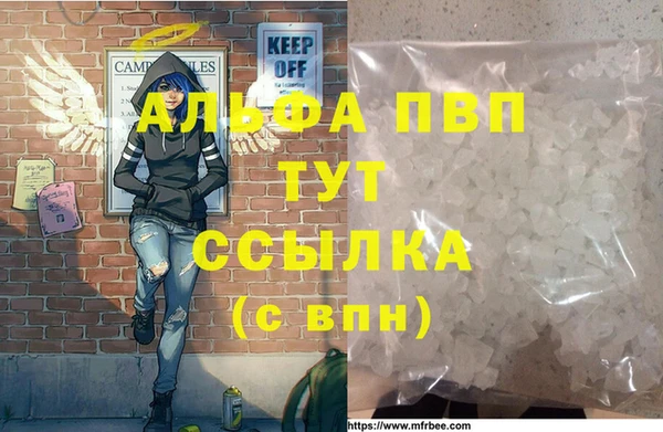 индика Волосово