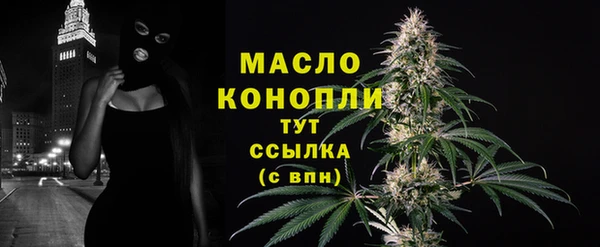 индика Волосово