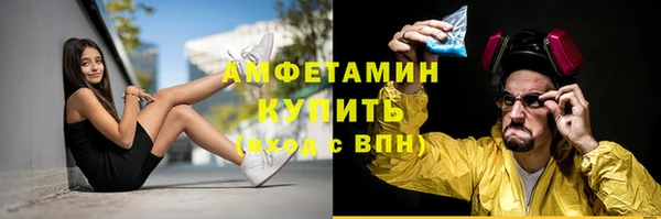 Альфа ПВП Верея