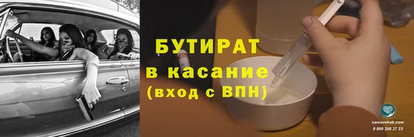 индика Волосово
