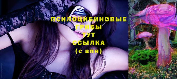 индика Волосово
