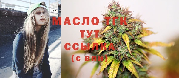индика Волосово