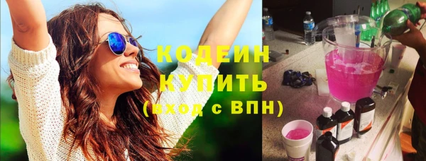 индика Волосово