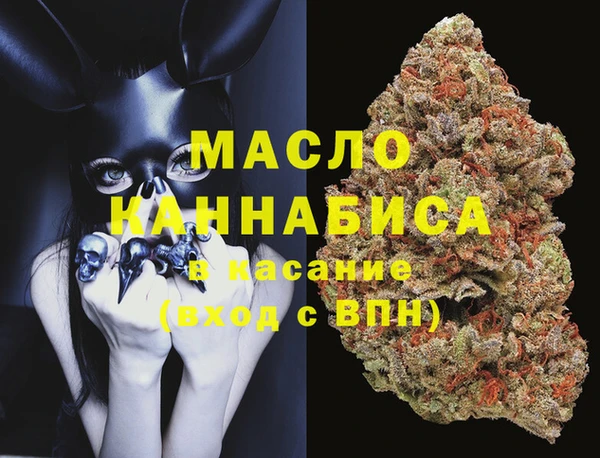 индика Волосово