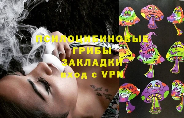 PSILOCYBIN Володарск